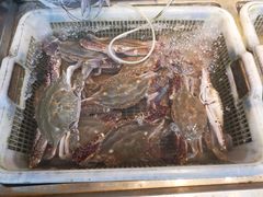 -沈家门海鲜夜排档(东港店)