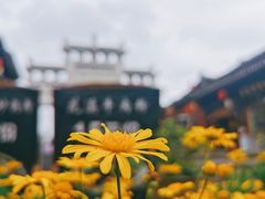-青岩古镇