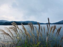 -浙西天池景区