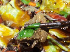 -受气牛肉·重庆耙牛肉(来福士店)