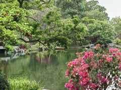 -云溪植物园