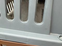 -爱佳宠物中心医院24H·CT·骨外科·猫专科(瑶海万达店)