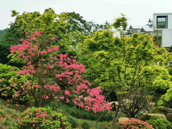 德清田博园-"朋友的公司计划组织一场团建,问问我有没有.