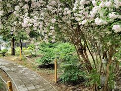 -国家植物园南园