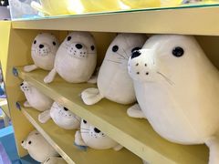 -秦皇岛新澳海底世界