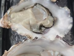 -冰之海挪威三文鱼(海珠店)