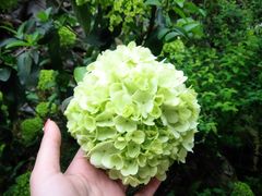 -MOJ coffee(瓯海泽雅水碓坑店)