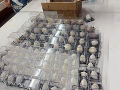 -青岛贝壳博物馆