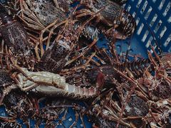 -青石桥市场北1-27号