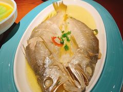 花雕醉黄鱼-寻宝记绍兴菜(鲁迅路店)