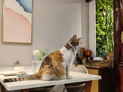 -后海16号·北京私房菜