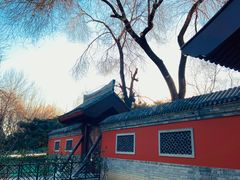 -元大都城垣遗址公园