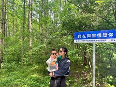 -同里国家湿地公园