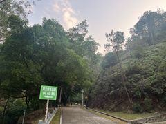-风云岭森林公园