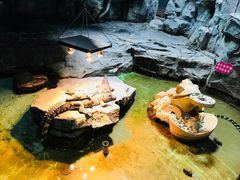 -泉城欧乐堡海洋极地世界