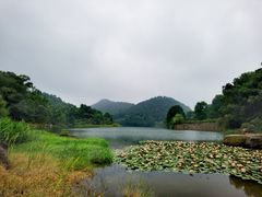 -桃花岭景区