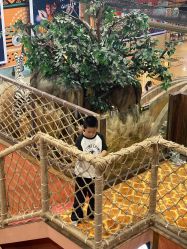 -卡通尼·Safari非洲探索乐园·生日会(金桥国际商业广场店)