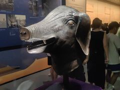 -广西壮族自治区博物馆