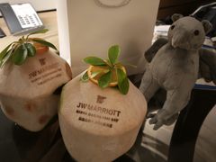 -三亚绿发山海天JW万豪酒店