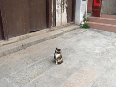 -小洲村