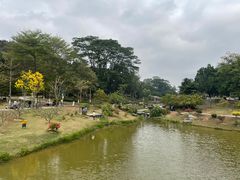 -东莞植物园