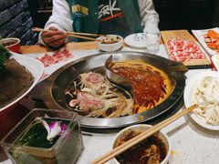 -大龙燚火锅