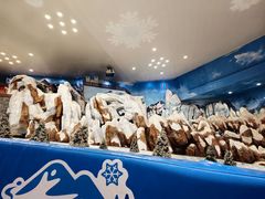 -湘江欢乐城欢乐雪域