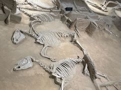 -洛阳周王城天子驾六博物馆