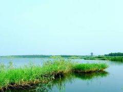 -西青郊野公园