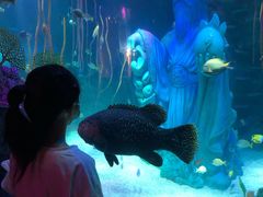 -沈阳海洋探索中心