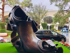 -拉斯维加斯永利酒店