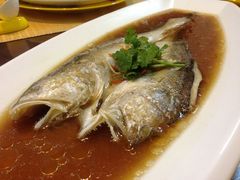 黄鱼-民国红公馆·艺文空间(颐和路店)