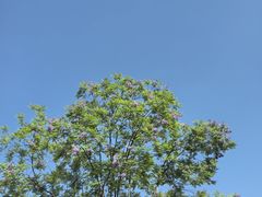 -沐仙湖湿地公园