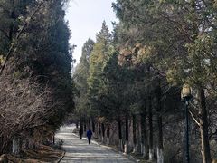 -高尔山公园