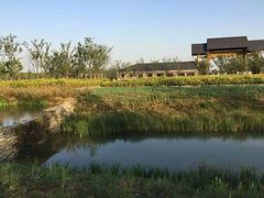 -江苏三台山国家森林公园