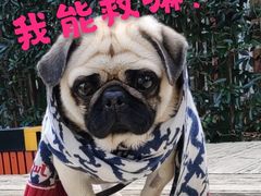 -爱侣宠医·鹦鹉专科·小型哺乳类·异宠专科(灵石路店)