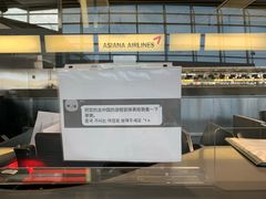 -约翰·菲茨杰拉德·肯尼迪国际机场