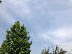 -巴依老爷新疆美食(工体旗舰店)