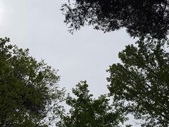 -武侯墓风景区