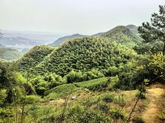 -莫干山风景区