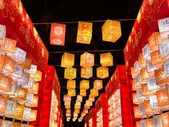 -欢乐海岸椰林沙滩-2025湾区超级灯会