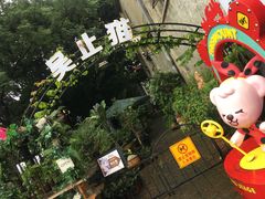 -more than meow吴止猫主题餐厅(承德 中船汇店)