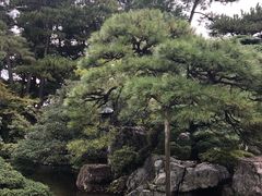 -京都御所