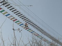 -白鹿原·白鹿仓