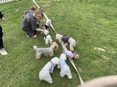 -TIPPI营地 房车主题·露营烧烤团建轰趴(天安假日店)