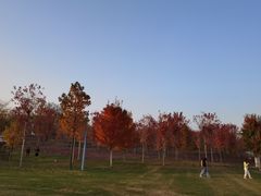 -南京枫彩漫城