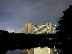 -福田红树林生态公园