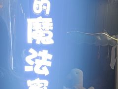 -猫的魔法密林(衣裳街店)