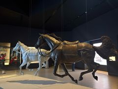 -扎耶德国家博物馆