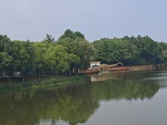 -自然谷恐龙园